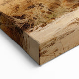 Rustic Abandoned Cottage Wall Art - Vintage Framed Canvas Print