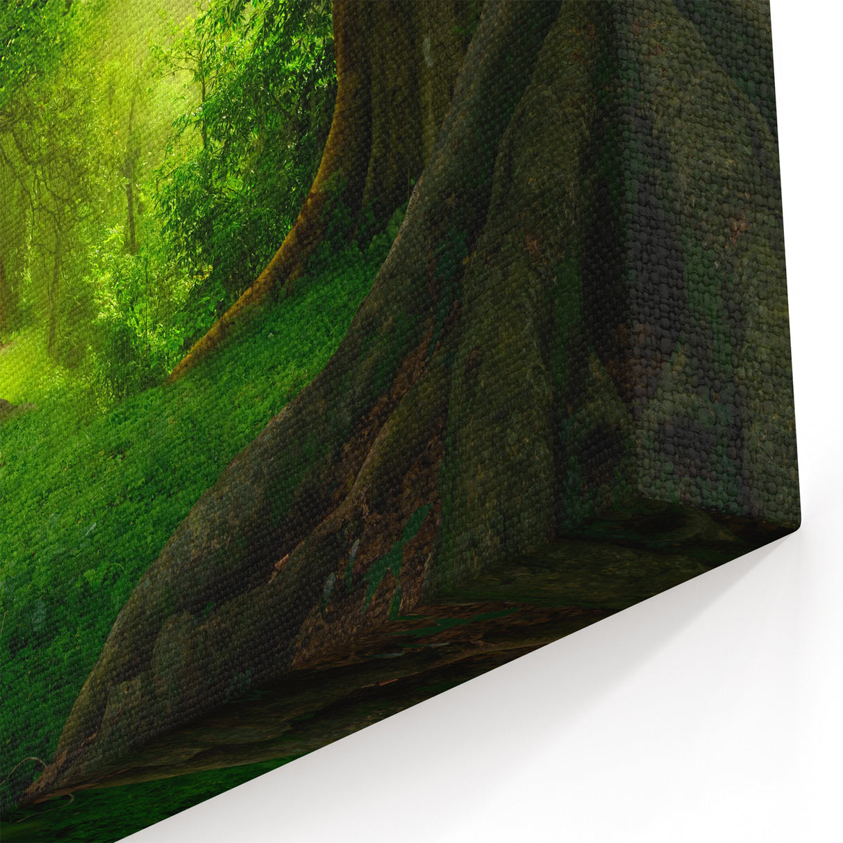 Enchanted Rainforest Pathway - Mystical Tropical Forest Wall Art