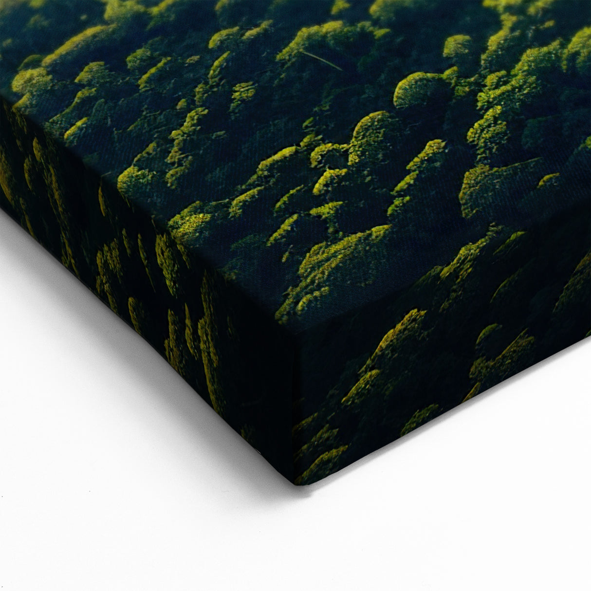 Sunrise Over Rainforest River - Majestic Tropical Landscape Art