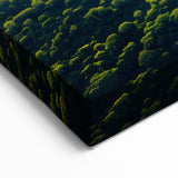 Sunrise Over Rainforest River - Majestic Tropical Landscape Art