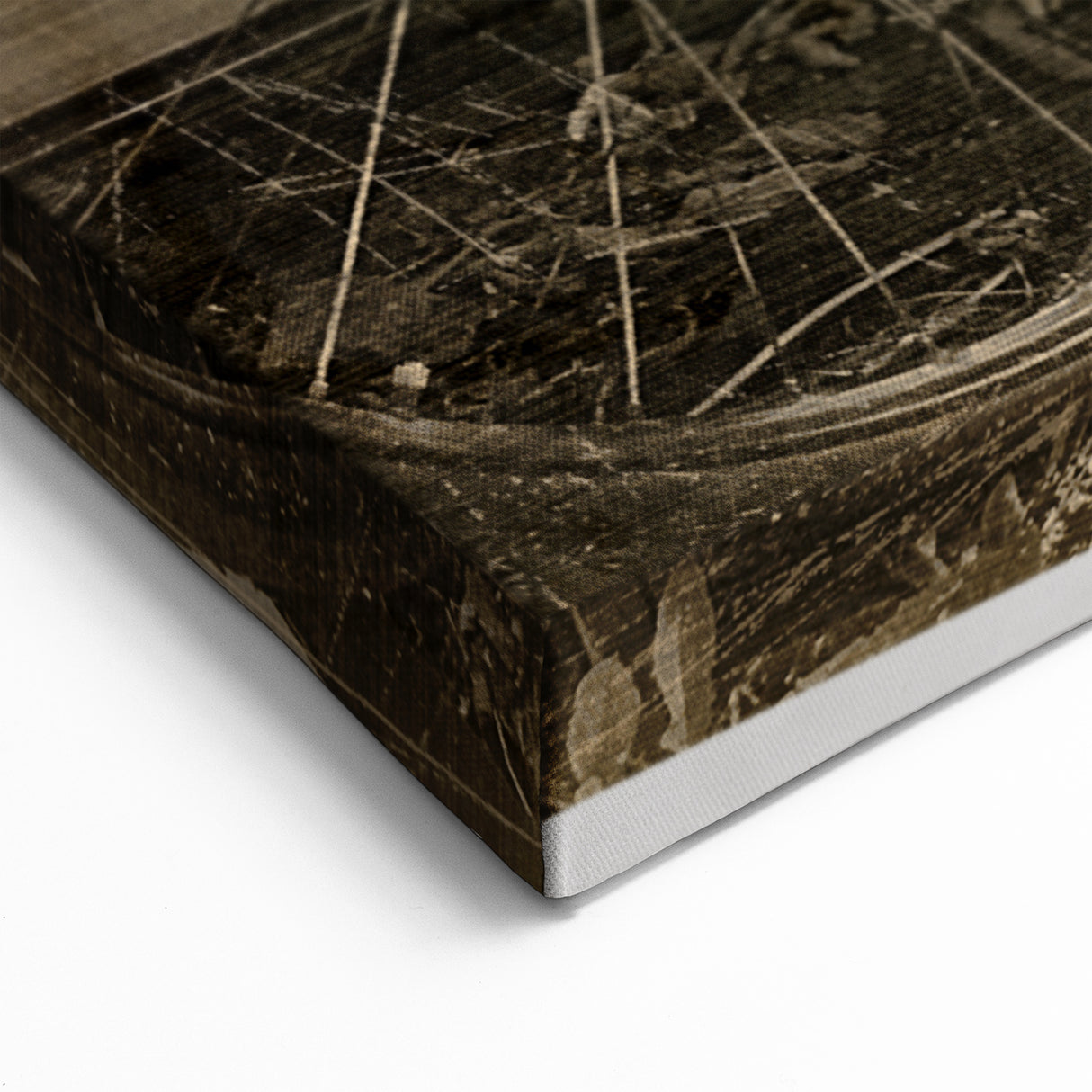 Vintage Bicycle with Red Flowers Wall Art - Rustic Sepia-Toned Print