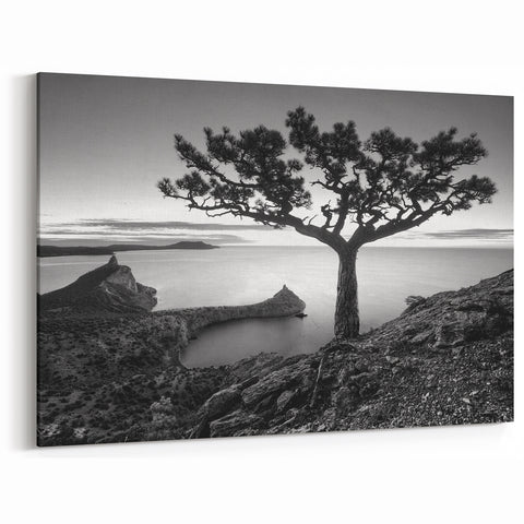 Black and White Seascape Art - Coastal Tree Silhouette on Canvas