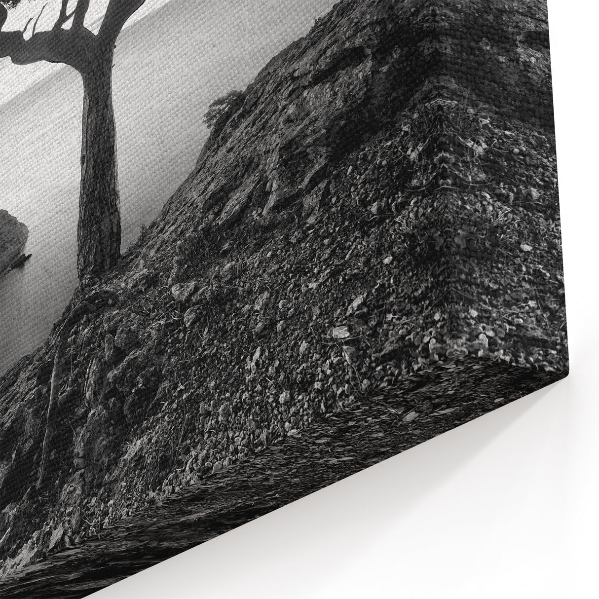 Black and White Seascape Art - Coastal Tree Silhouette on Canvas