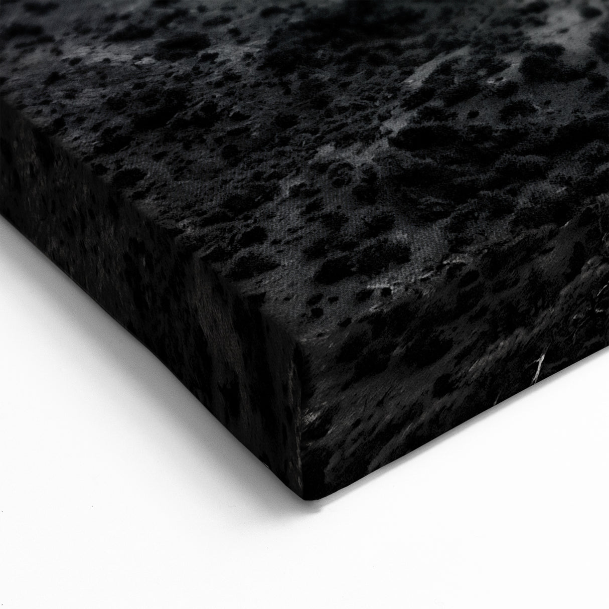 Black and White Seascape Art - Coastal Tree Silhouette on Canvas