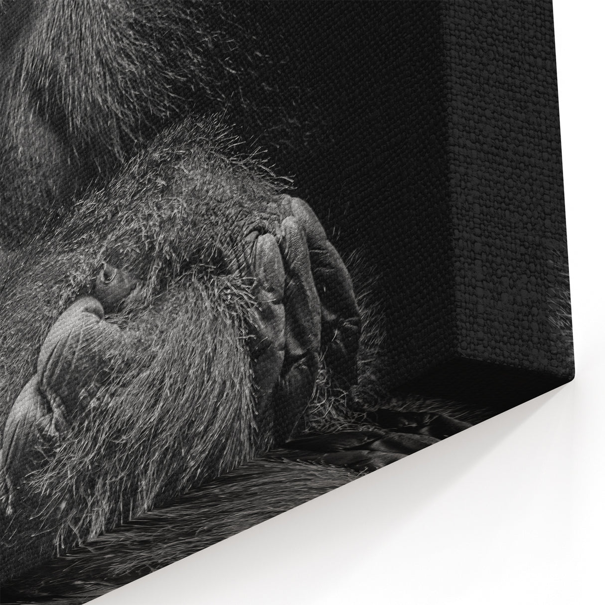 Majestic Gorilla Portrait - Black and White Primate Canvas Art