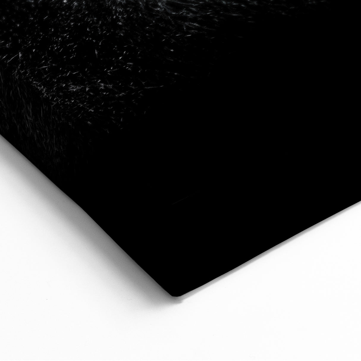 Majestic Gorilla Portrait - Black and White Primate Canvas Art