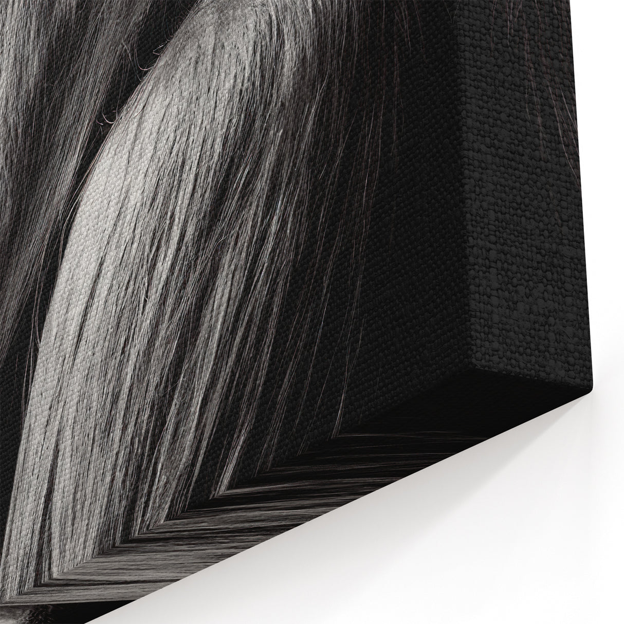 Gorilla Profile Art - Black and White Primate Canvas Wall Decor