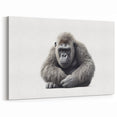 Calm Gorilla Art - Primate Sitting Portrait on White Canvas Print