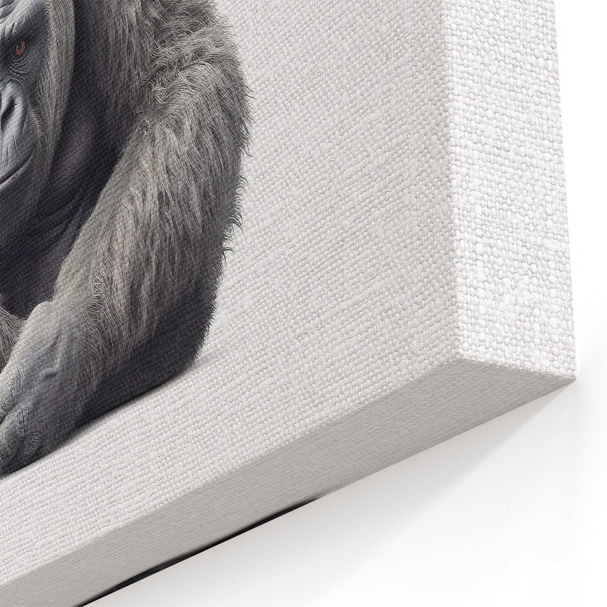 Calm Gorilla Art - Primate Sitting Portrait on White Canvas Print