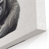 Calm Gorilla Art - Primate Sitting Portrait on White Canvas Print