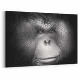 Majestic Orangutan Wall Art - Primate and Ape Decor on Canvas & Acrylic
