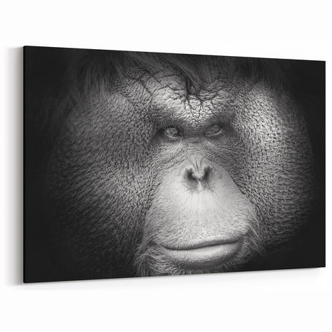 Majestic Orangutan Wall Art - Primate and Ape Decor on Canvas & Acrylic