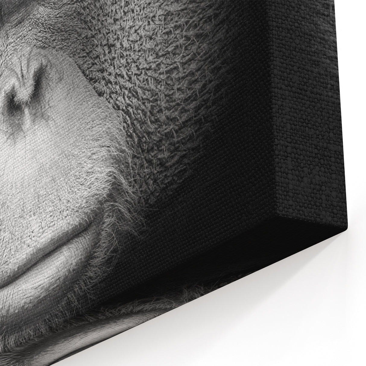 Majestic Orangutan Wall Art - Primate and Ape Decor on Canvas & Acrylic