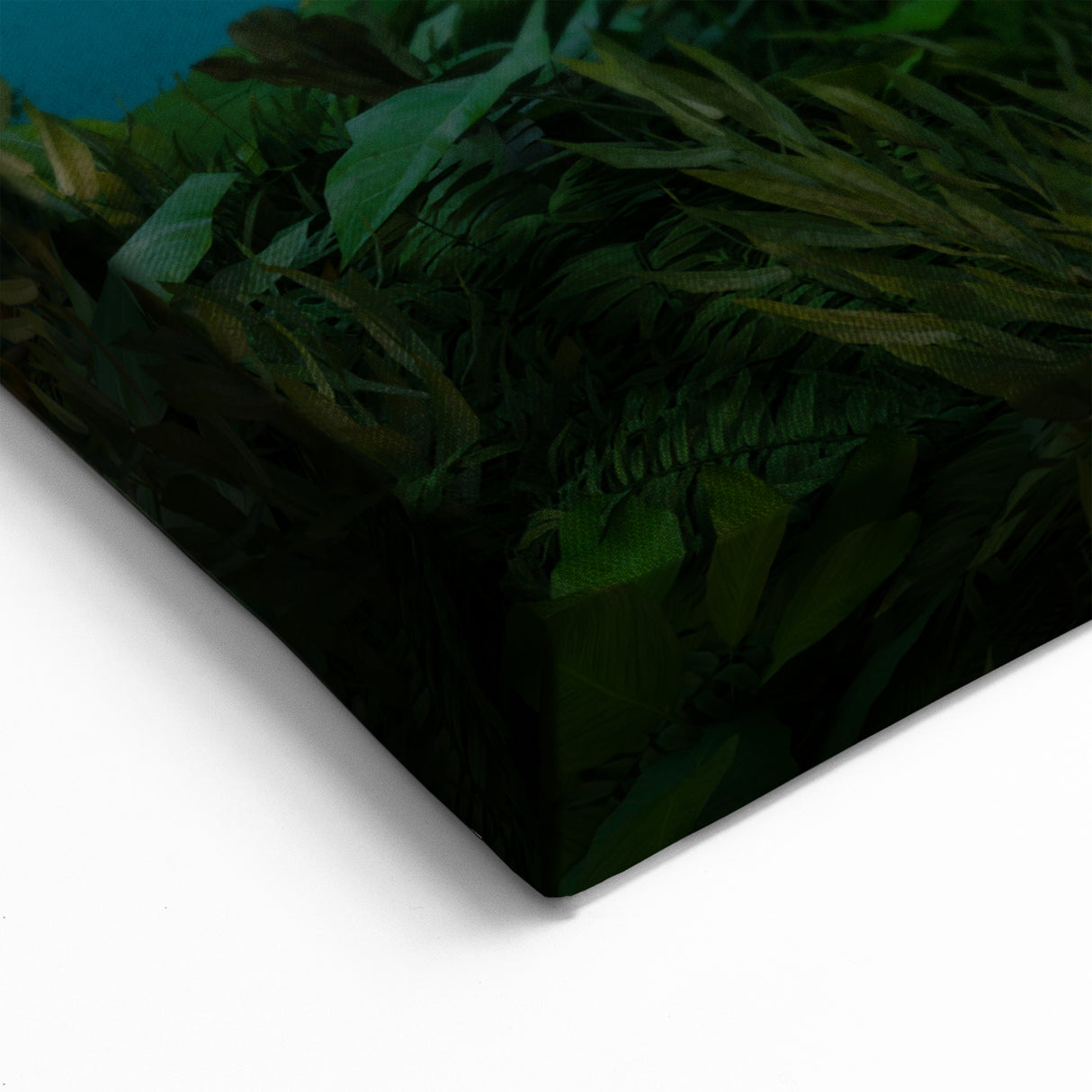 Serene Rainforest Wall Art - Tranquil Jungle Canvas with Reflective Waters