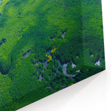 Expansive Rainforest Wall Art - Aerial View Jungle River Canvas Print