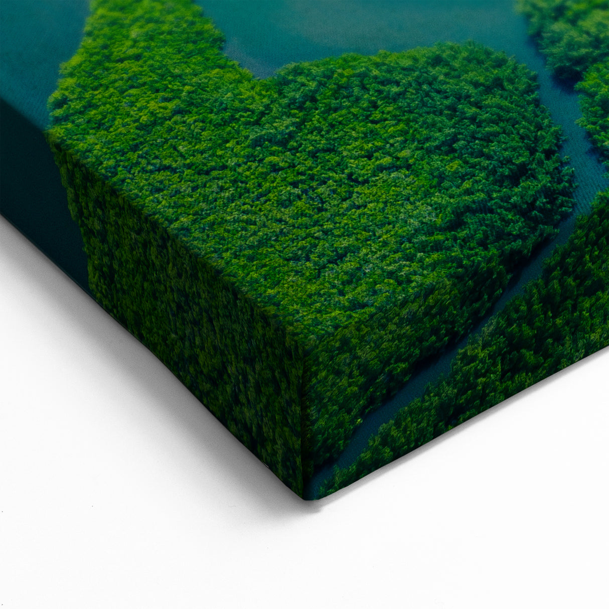 Expansive Rainforest Wall Art - Aerial View Jungle River Canvas Print