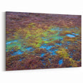Beautiful Swamp Photography - Nature Marshland Artwork