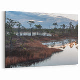 Scenic Marsh Canvas Prints - Wetland Scene Wall Decor