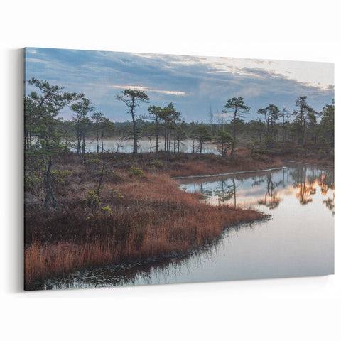 Scenic Marsh Canvas Prints - Wetland Scene Wall Decor