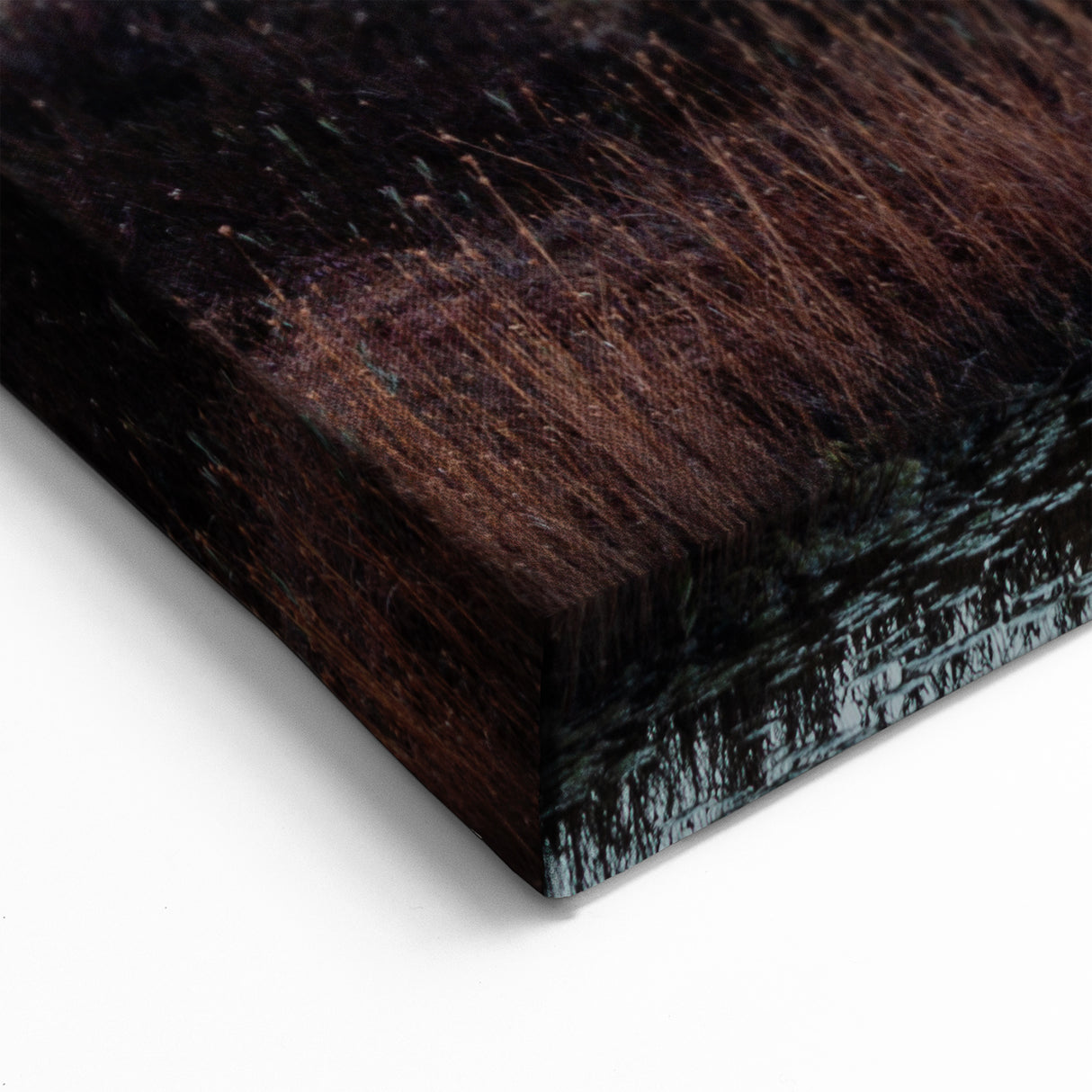 Scenic Marsh Canvas Prints - Wetland Scene Wall Decor