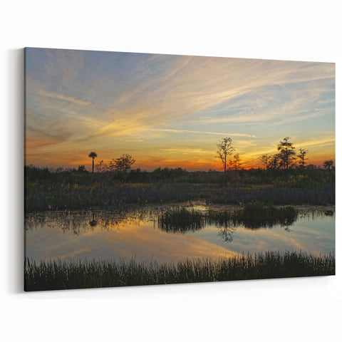 Golden Hour Over Marshland - Scenic Marsh and Swamp Canvas Prints