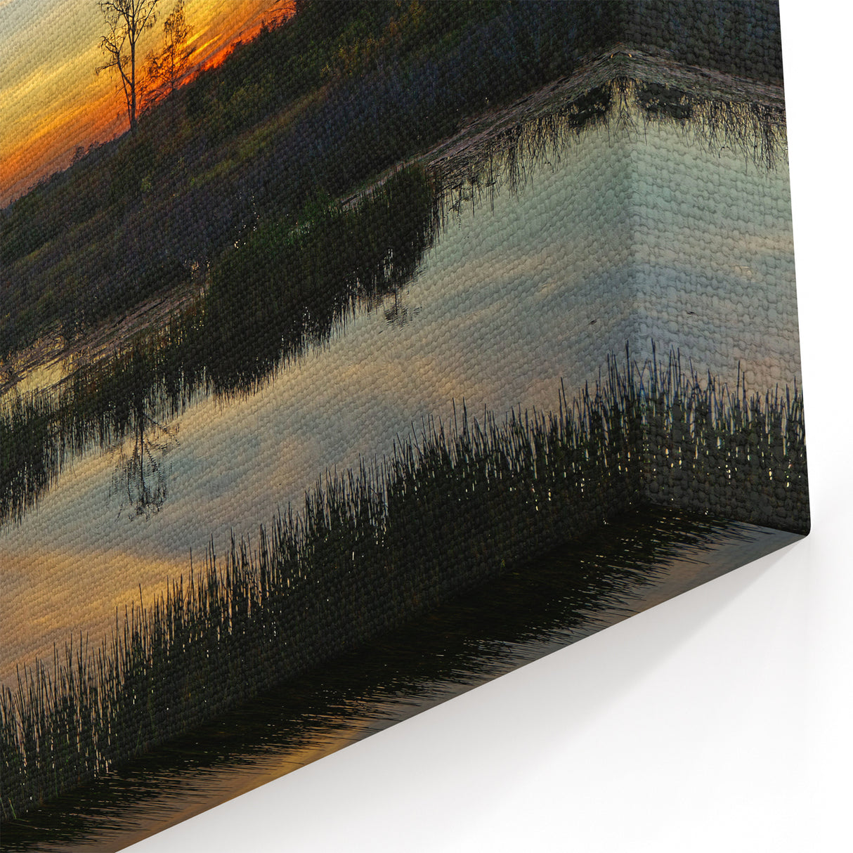 Golden Hour Over Marshland - Scenic Marsh and Swamp Canvas Prints
