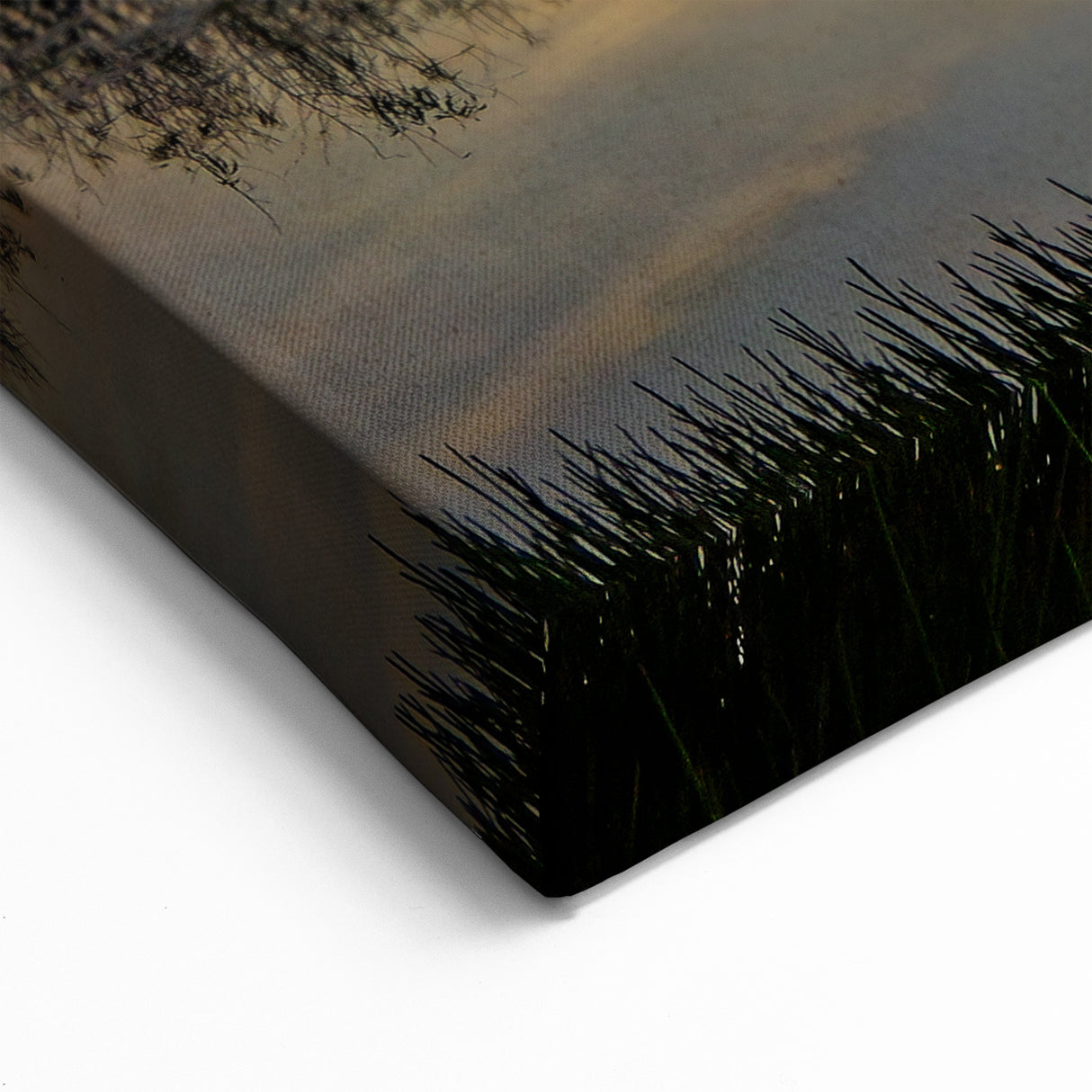 Golden Hour Over Marshland - Scenic Marsh and Swamp Canvas Prints