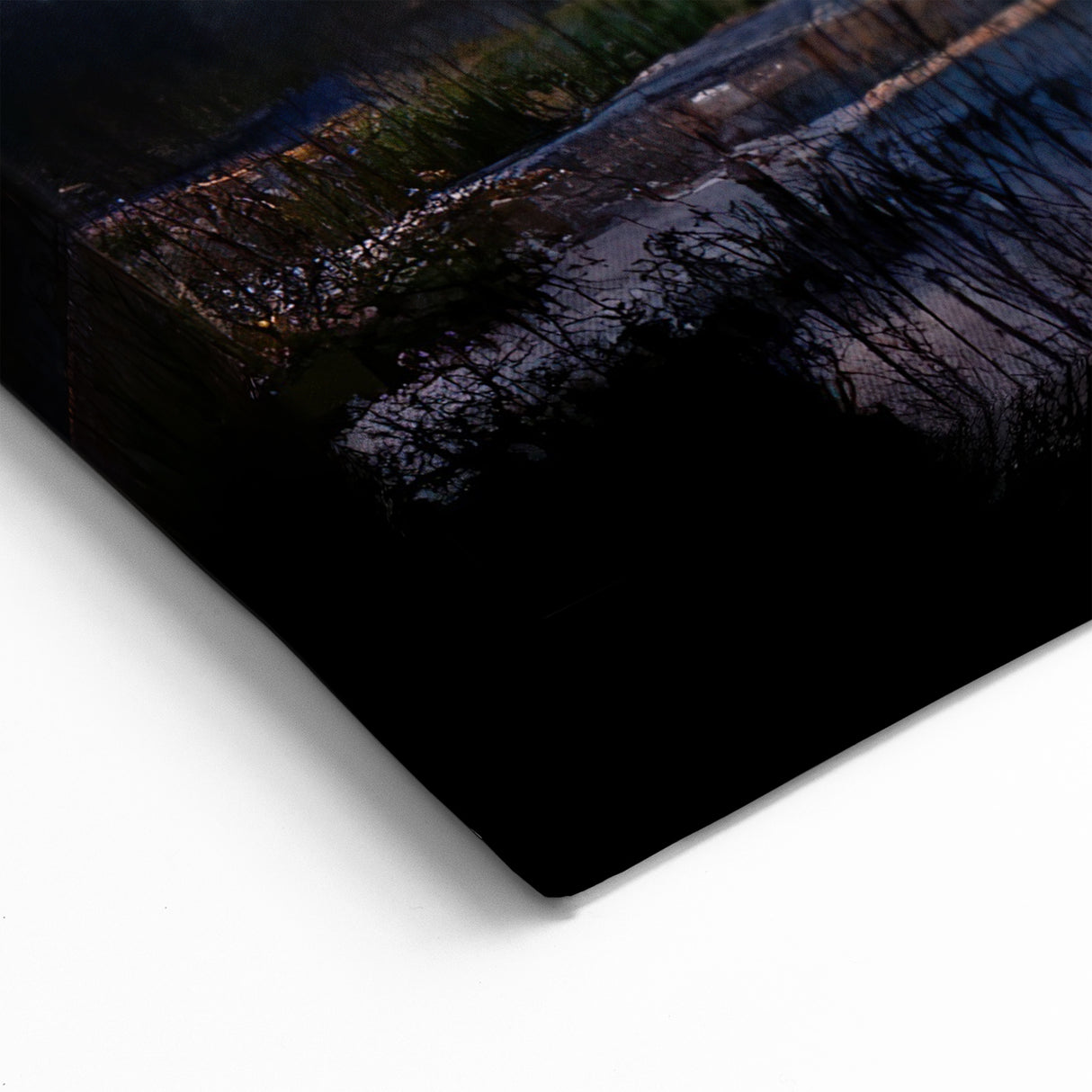 Enchanted Night in Swamp Landscape - Scenic Marsh Canvas Prints