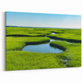 Lush Green Marshland View - Scenic Swamp and Marsh Canvas Prints