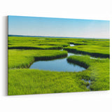 Lush Green Marshland View - Scenic Swamp and Marsh Canvas Prints