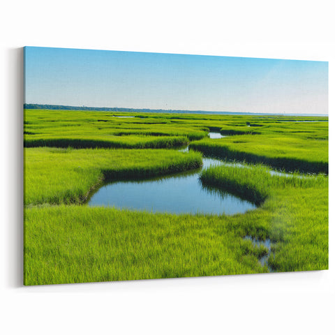 Lush Green Marshland View - Scenic Swamp and Marsh Canvas Prints