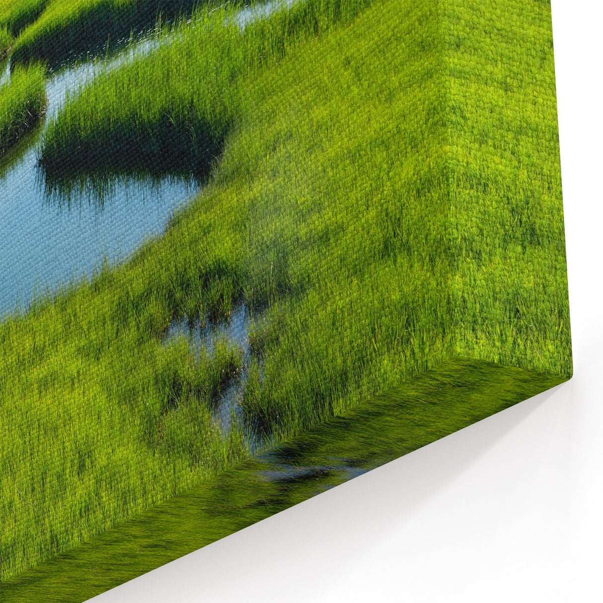 Lush Green Marshland View - Scenic Swamp and Marsh Canvas Prints