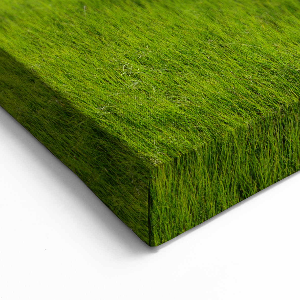 Lush Green Marshland View - Scenic Swamp and Marsh Canvas Prints