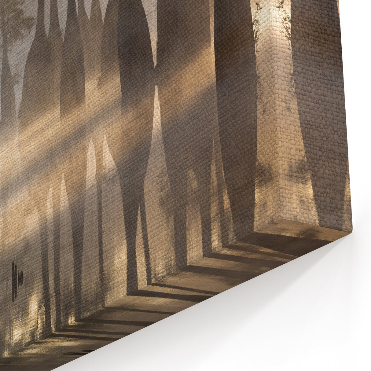 Misty Cypress Swamp Reflection - Scenic Marsh Canvas Prints