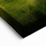 Path Through Lush Marshland - Scenic Swamp and Marsh Canvas Prints