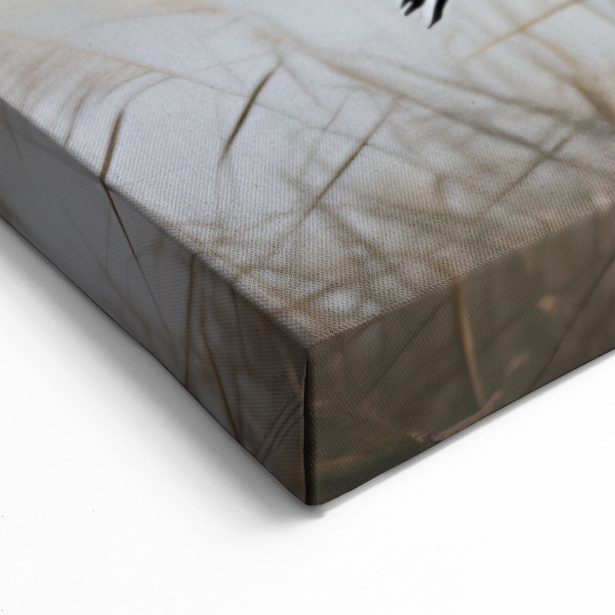 Graceful Heron in Flight - Scenic Marsh and Swamp Canvas Prints