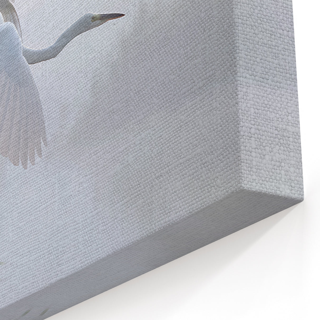 Heron in Misty Marsh Flight - Scenic Marsh and Swamp Canvas Prints