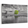 Vibrant Green Tree in Black and White Marsh - Scenic Canvas Prints