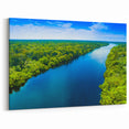 Lush River and Forest Aerial View - Scenic Marsh and Swamp Canvas Prints
