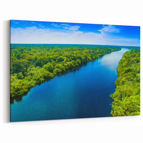 Lush River and Forest Aerial View - Scenic Marsh and Swamp Canvas Prints