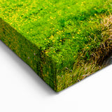 Mountain Stream in Lush Valley - Scenic Marsh and Swamp Canvas Prints