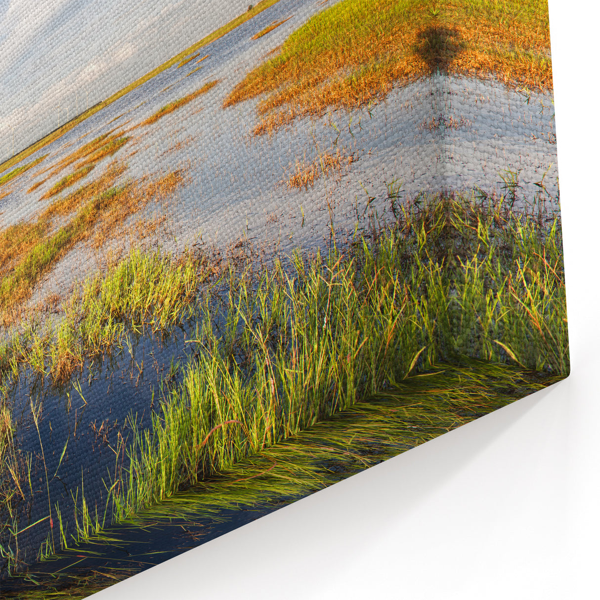 Scenic Marsh and Swamp Wall Art - Captivating Wetland Landscape Canvas