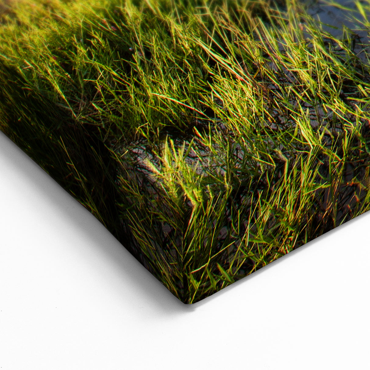 Scenic Marsh and Swamp Wall Art - Captivating Wetland Landscape Canvas