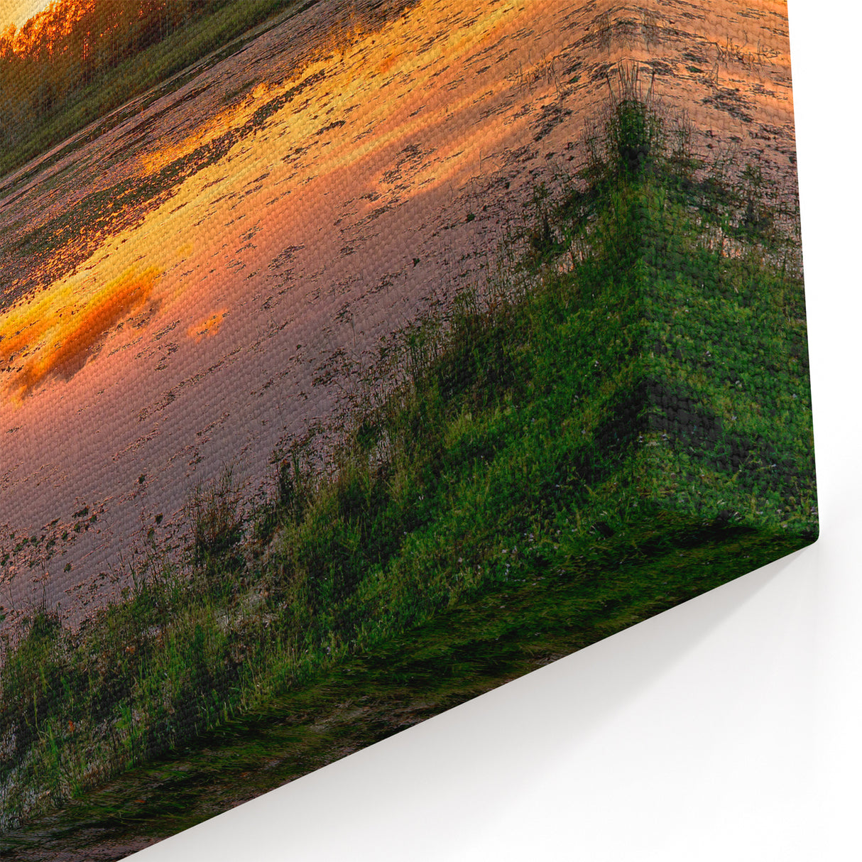 Marsh and Swamp Wall Art - Beautiful Sunset Over Wetland Landscape