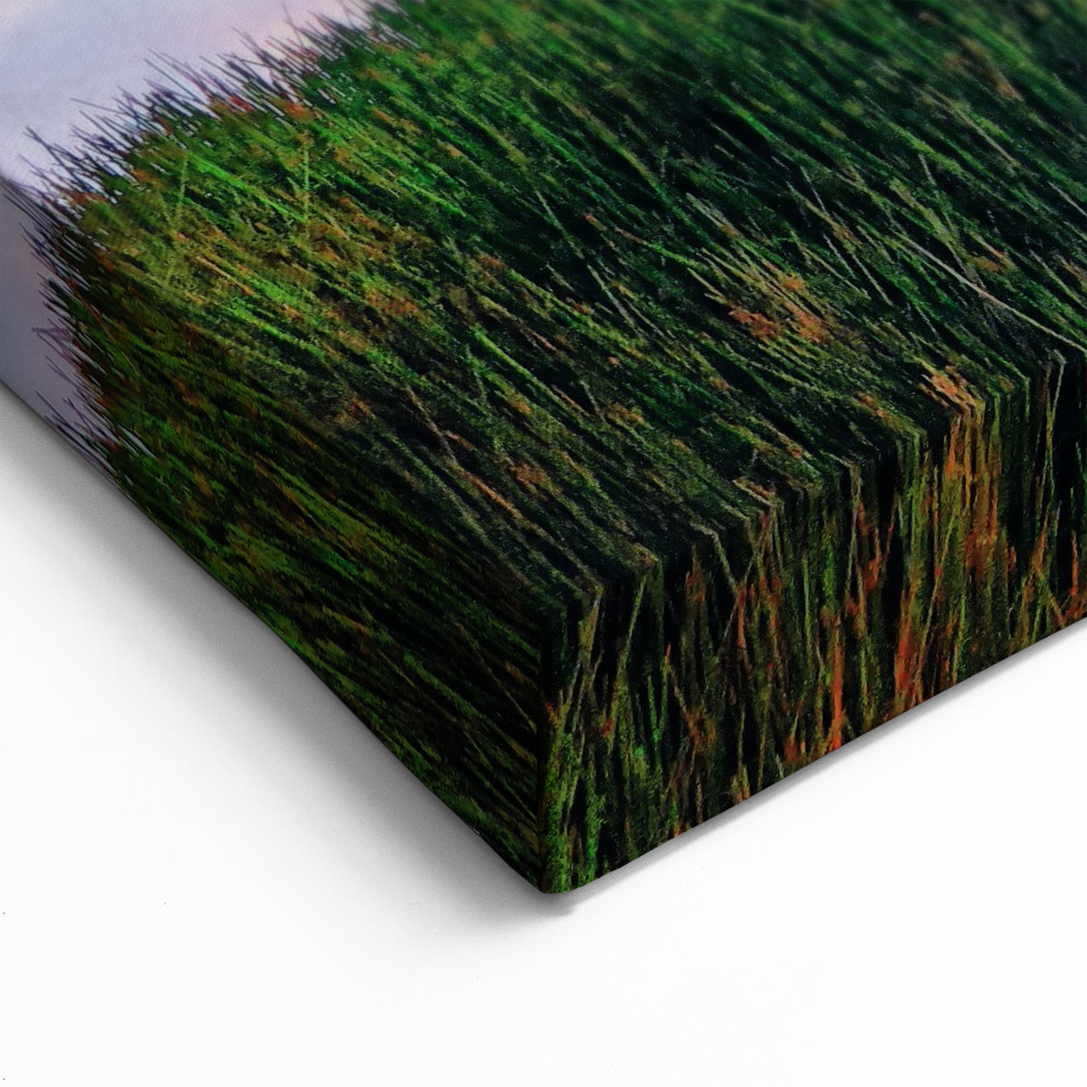 Scenic Marshland Wall Art - Vibrant Sunset Over Wetland Landscape