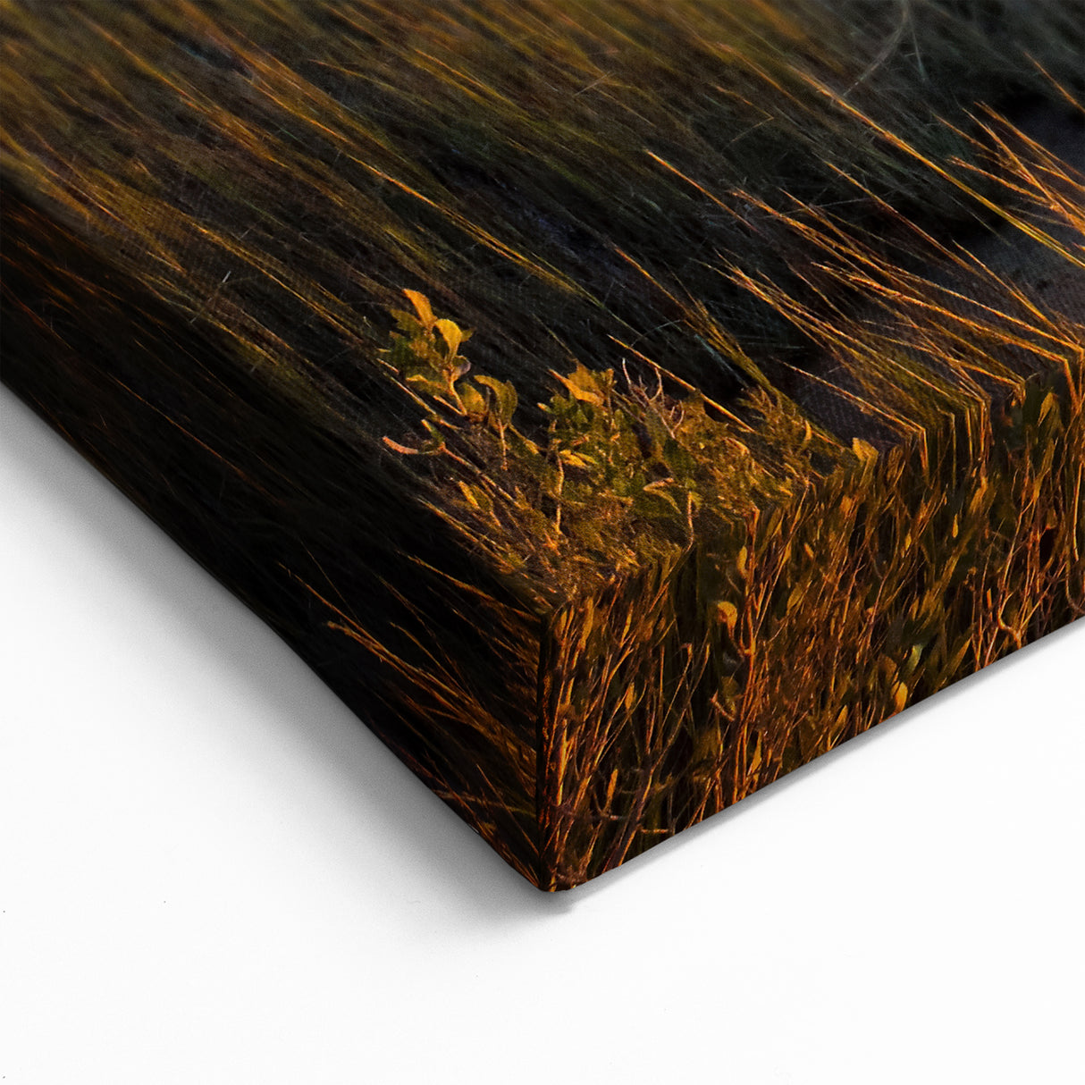 Golden Marshland Wall Art - Tranquil Sunset Over Wetland Scene