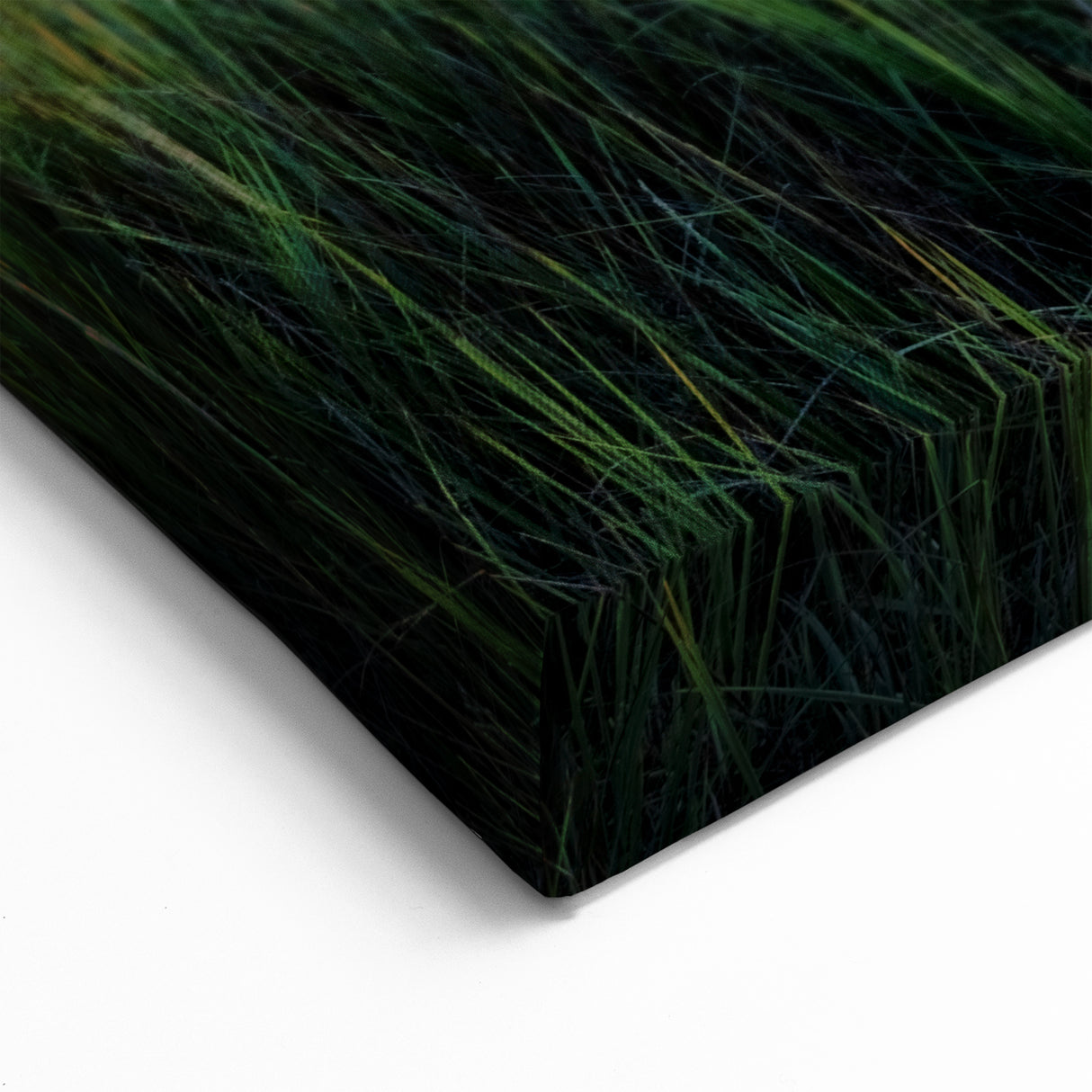 Sunset Marshland Wall Art - Serene Wetland Landscape with Water
