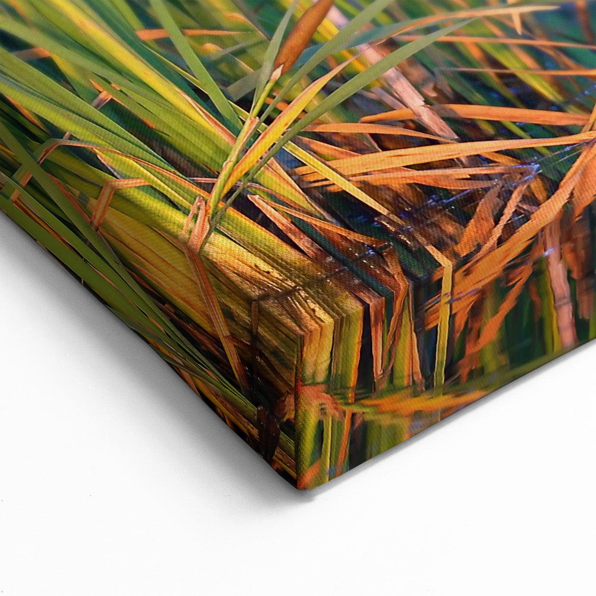 Marshland Cattails Wall Art - Serene Wetland Nature Photography