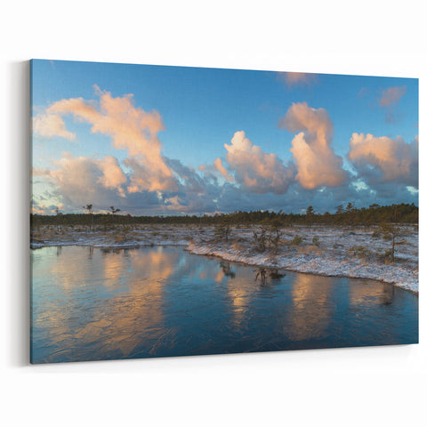 Winter Marshland Wall Art - Frosty Landscape with Reflections