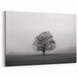Solitary Tree in Fog Art - Serene Black and White Landscape Wall Decor